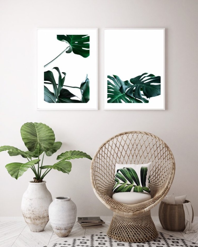 Monstera Deliciosa No.232 Poster