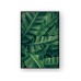 Tropical Banana Palm Poster