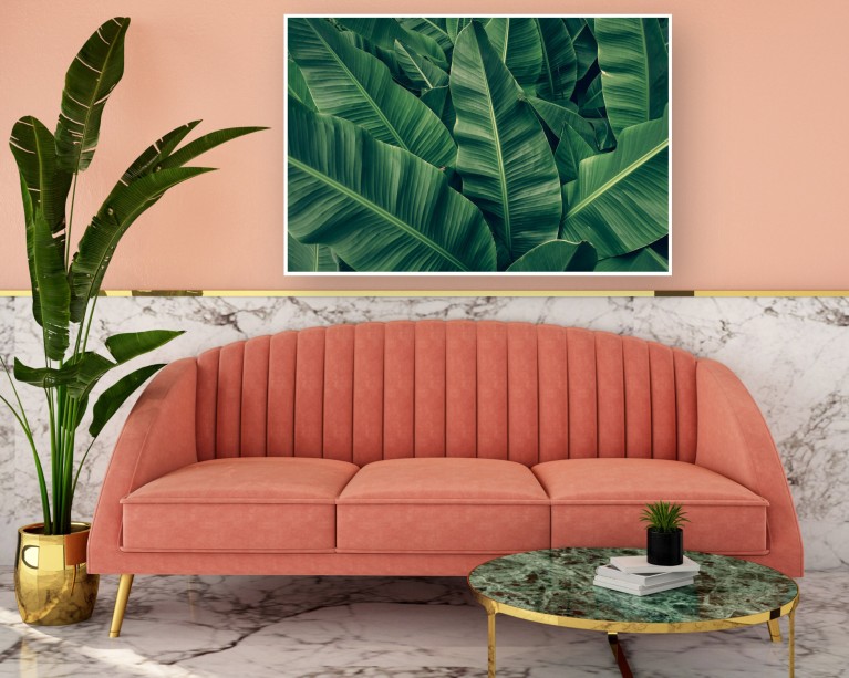 Tropical Banana Palm Poster