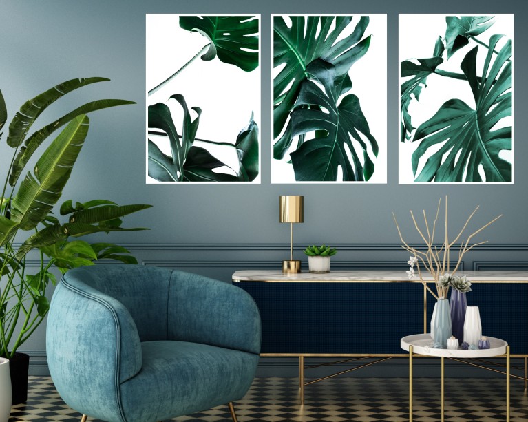 x3 Cheese Plant Poster Set Poster