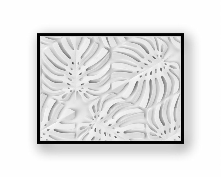 Variegated White Monstera Poster 