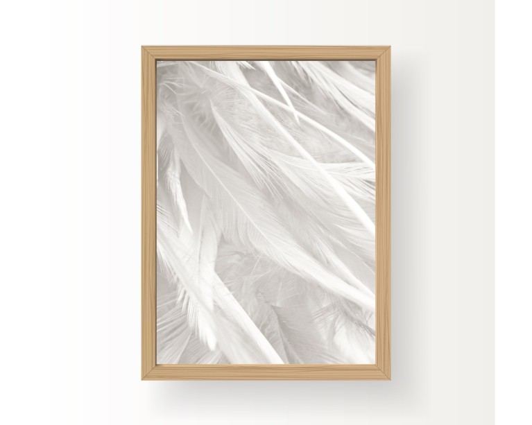 White Feathers Poster