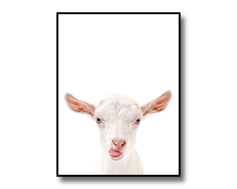 Funny Goat Poster