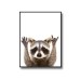 Funny Racoon Poster 