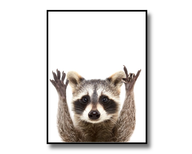 Funny Racoon Poster 