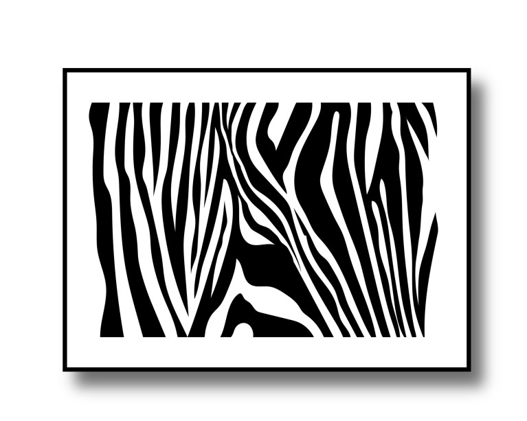 Zebra Animal Poster