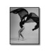 Dancing Ballerina Poster