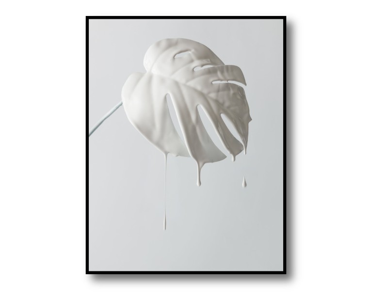 Dripping Variegated White Monstera Poster