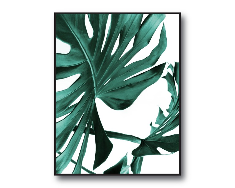 Botanical Monstera Poster 