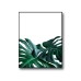 Monstera Deliciosa No.232 Poster