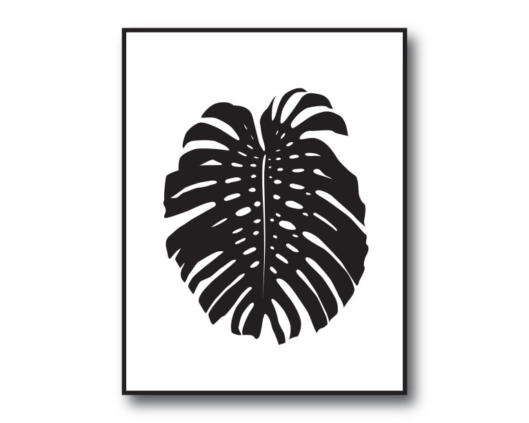 Black Cheese plant Poster