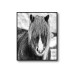 Icelandic Horse Poster