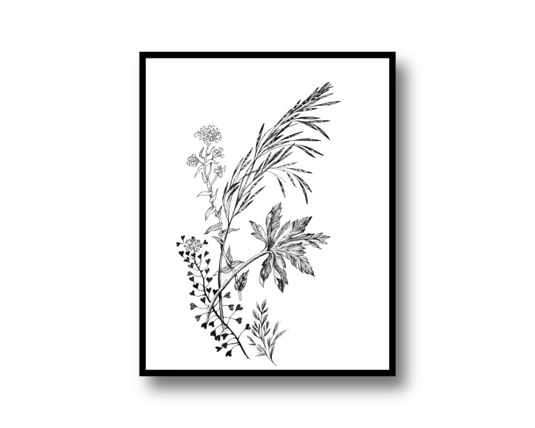 Botanical Plant Poster 