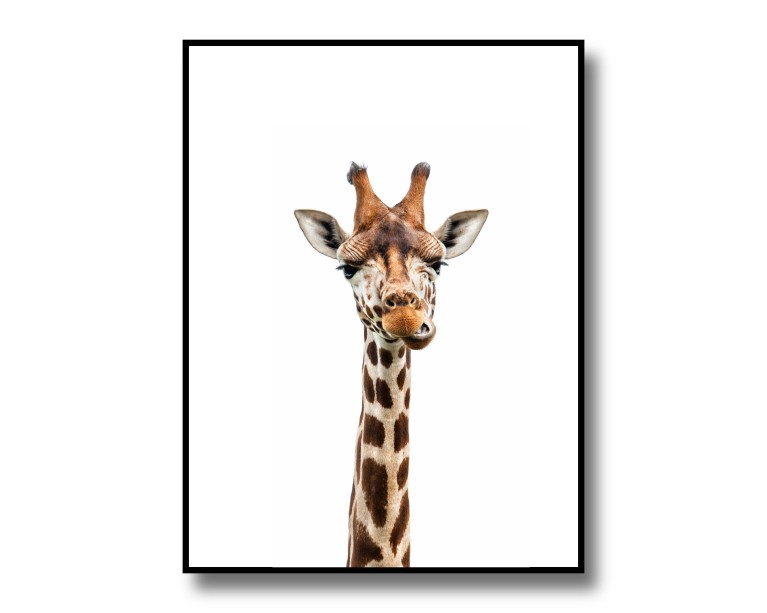 Cute Giraffe Poster