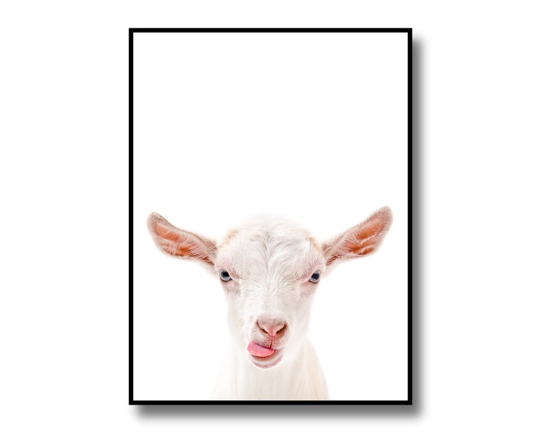 Cute Goat Poster 