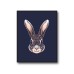 Cute Rabbit Poster 