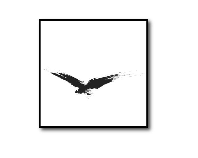 Flying Eagle Bird Poster 