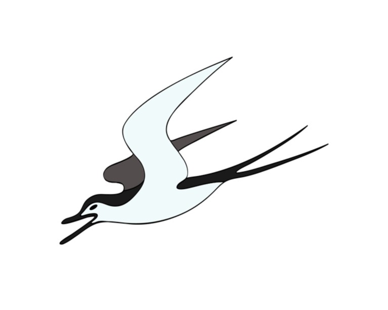 Flying Swallow Bird Poster 