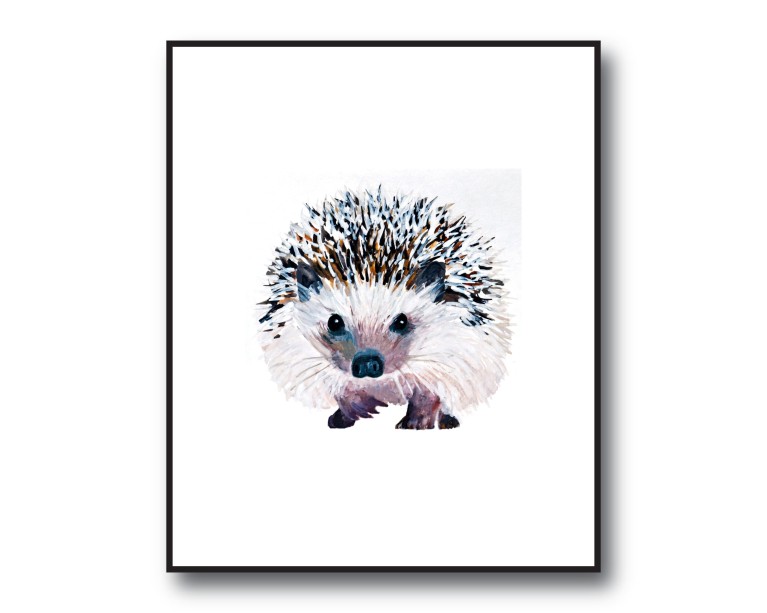 Hedgehog Poster 