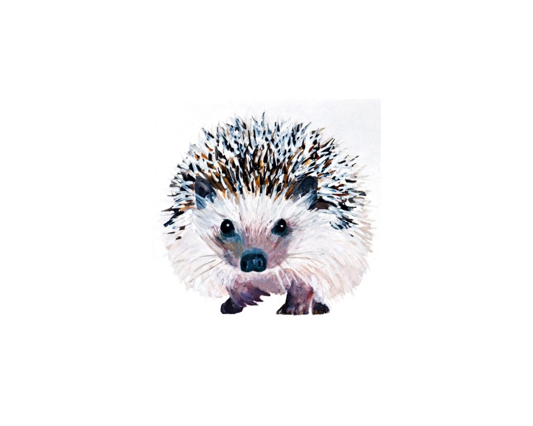 Hedgehog Poster 