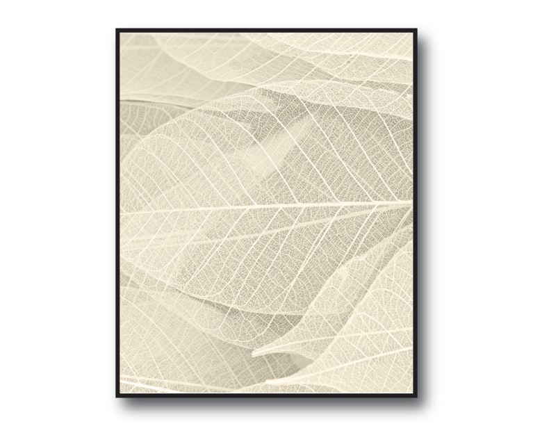 Boho Beige Leaves Poster