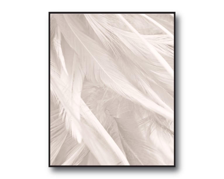 Boho Beige Feathers Poster