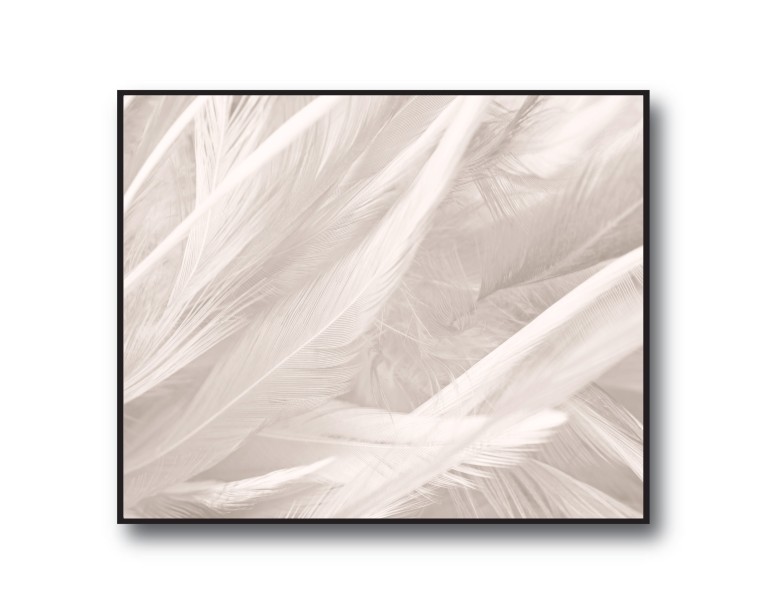 Boho Beige Feathers Poster