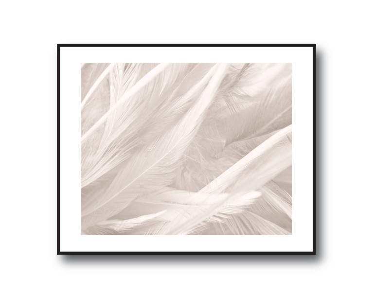 Boho Beige Feathers Poster