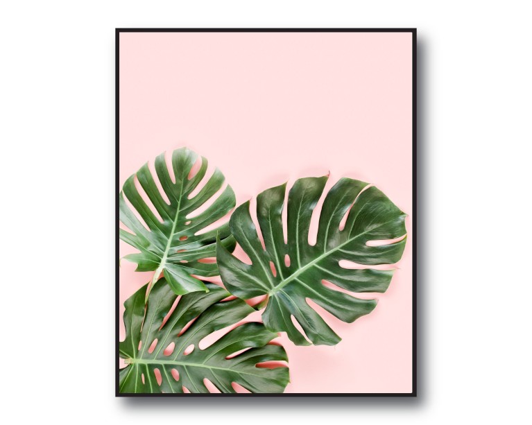 Tropical Monstera No.431 Poster