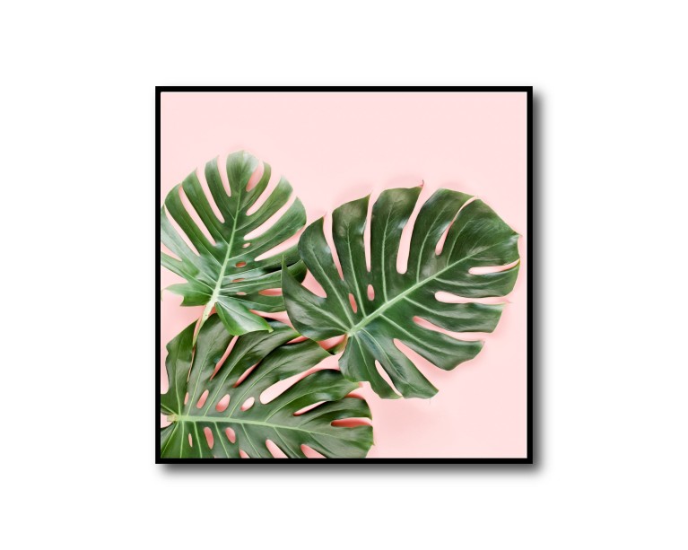 Tropical Monstera No.431 Poster