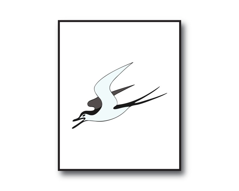 Flying Swallow Bird Poster 