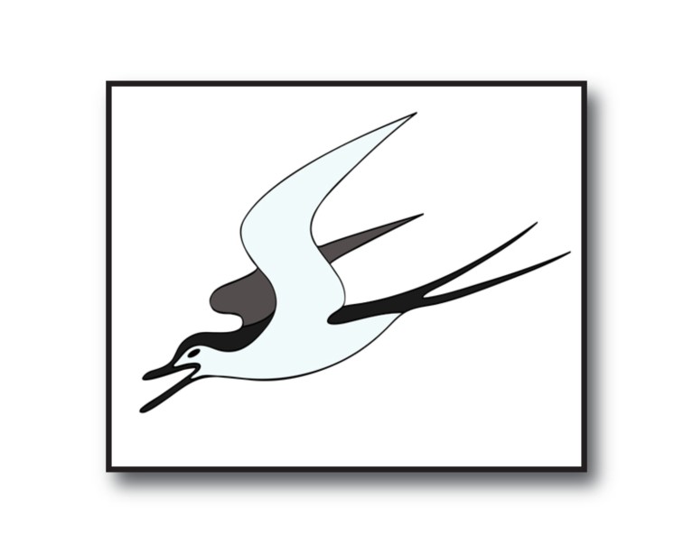 Flying Swallow Bird Poster 