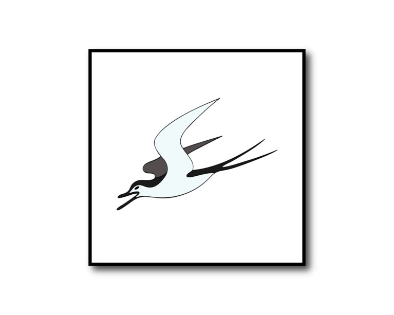 Flying Swallow Bird Poster 