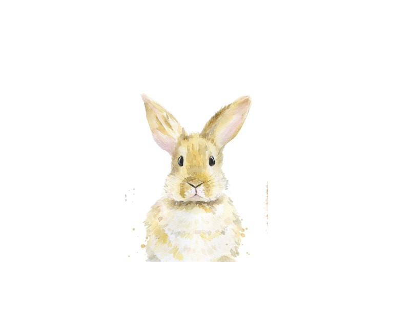 Rabbit Poster 