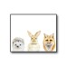 3 Cute Animals Poster 