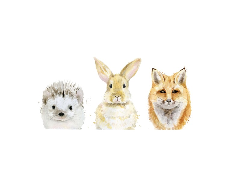 3 Cute Animals Poster 