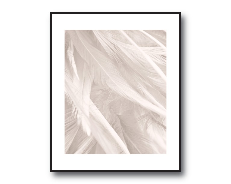 Boho Beige Feathers Poster