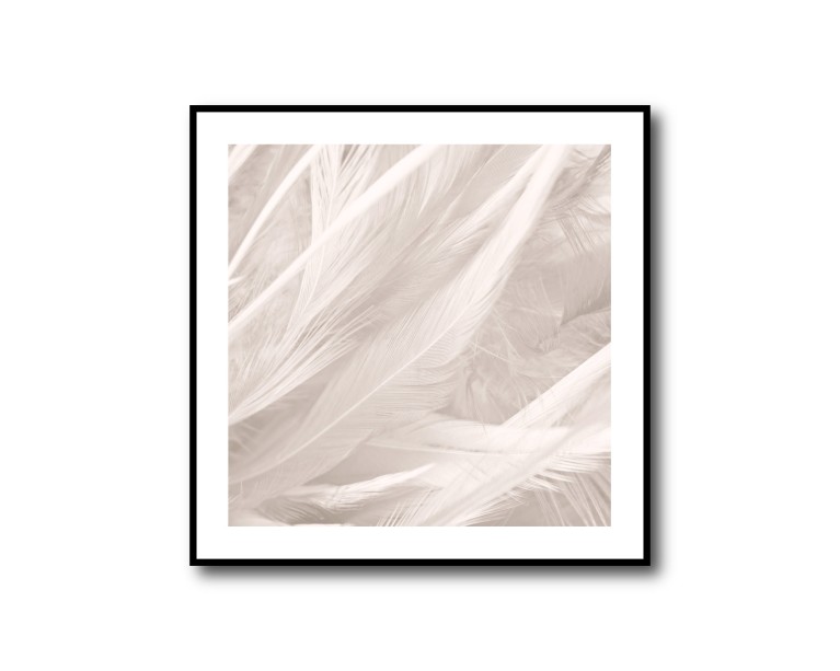 Boho Beige Feathers Poster