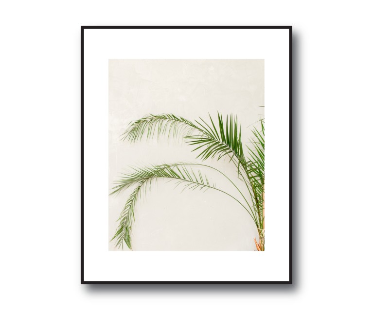 X4 Botanical Flower Poster Set