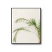 Tropical Palm Plant Poster