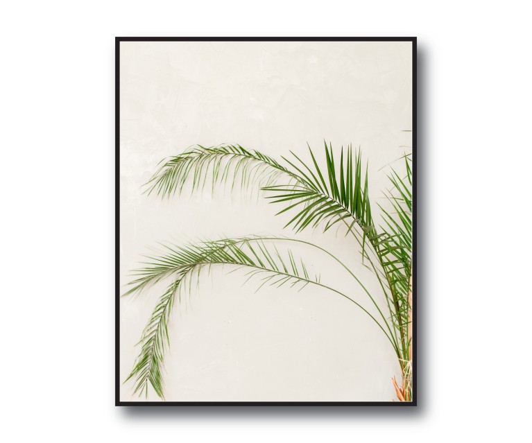 Tropical Palm Plant Poster