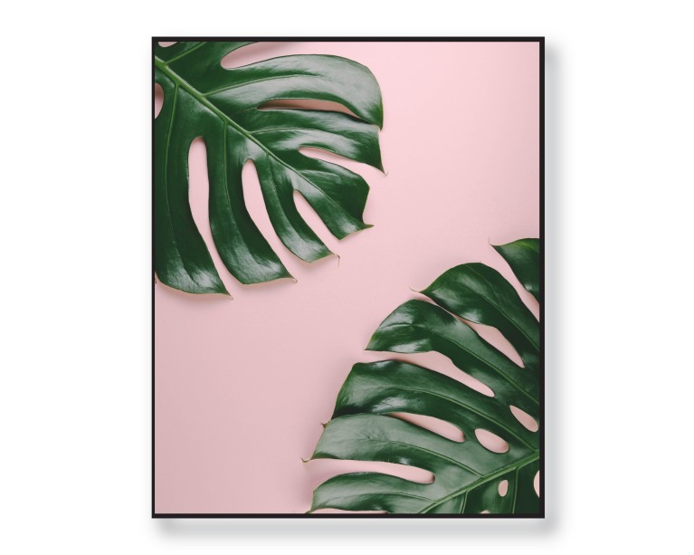 Tropical Monstera Poster