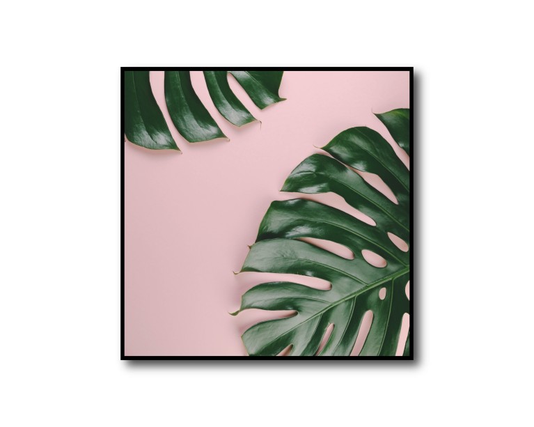 Tropical Monstera Poster