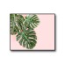 Tropical Monstera No.431 Poster