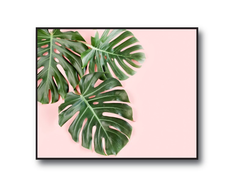 Tropical Monstera No.431 Poster