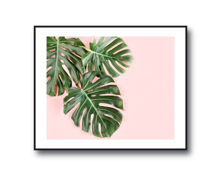 Tropical Monstera No.431 Poster