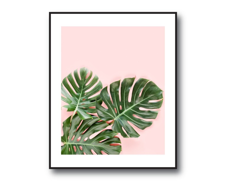 Tropical Monstera No.431 Poster