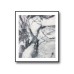 Black/White Marble No.395 Poster